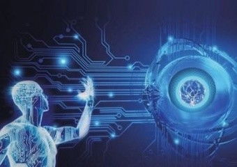 厦门观鱼者科技 一体化营销优势驱动全方位互联网推广