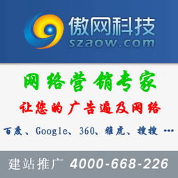 深圳傲网科技 网络科技推广服务的创新与实践